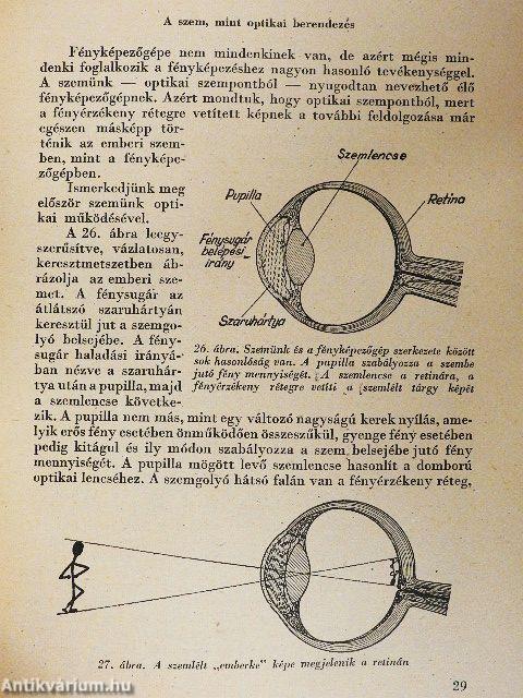 A rádiótól a televízióig