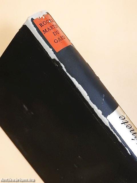 Egy lélek története