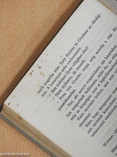 Weimari árnyjáték/A beszélő festmény