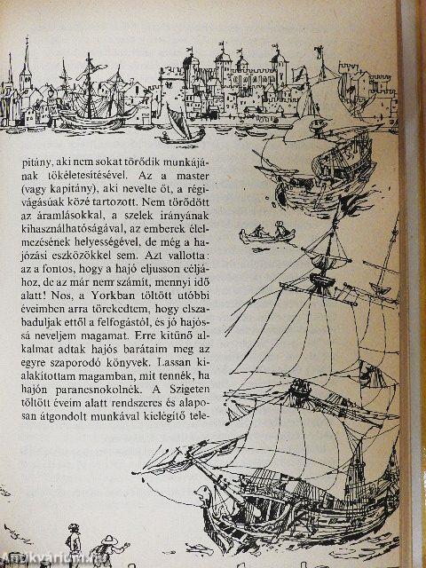 Robinson utolsó kalandja