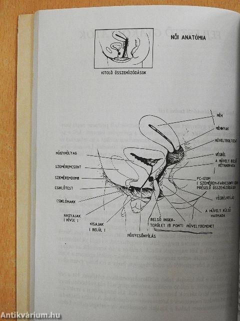 ESZO - Elnyújtott Szexuális Orgazmus