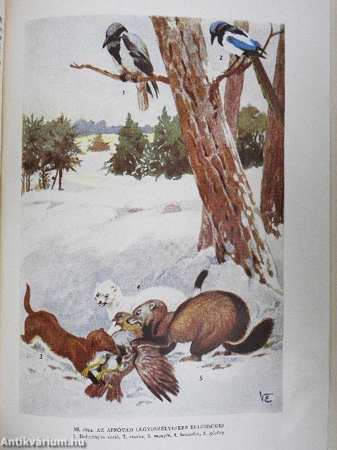 Vadgazdálkodás és vadászat