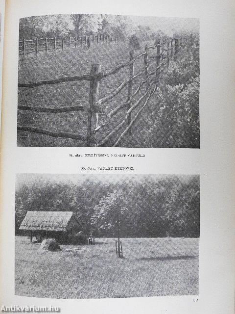 Vadgazdálkodás és vadászat