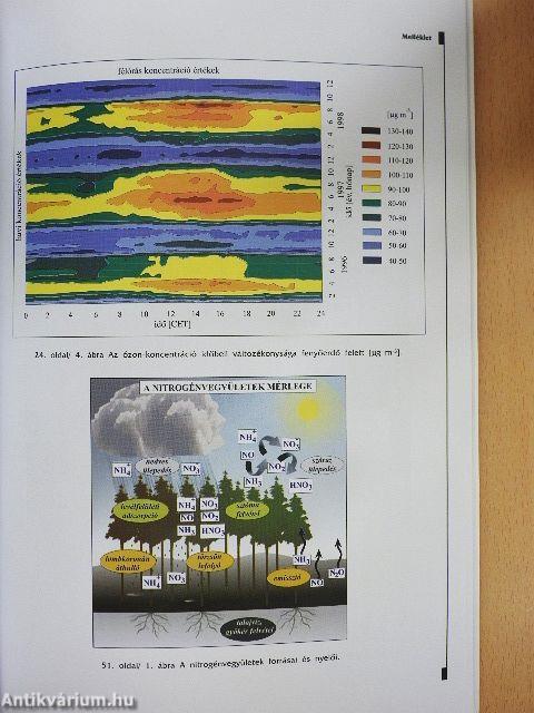 A légszennyezés környezeti hatásainak elemzése - elméleti háttér