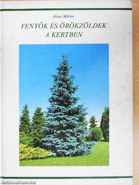 Fenyők és örökzöldek a kertben