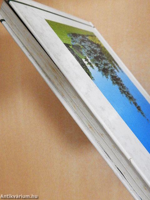 Fenyők és örökzöldek a kertben