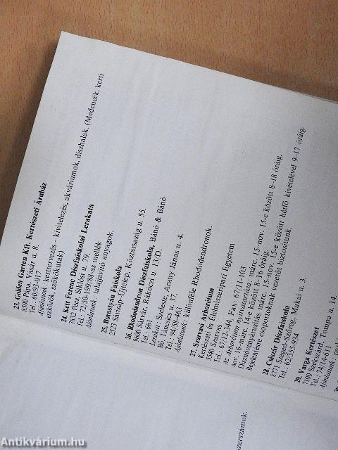 Fenyők és örökzöldek a kertben