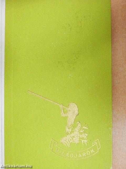 Akik túlélték a vízözönt