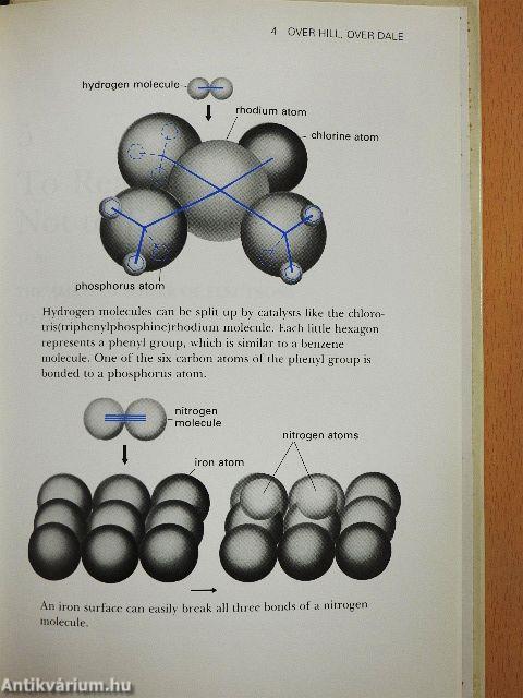Marvels of the molecule