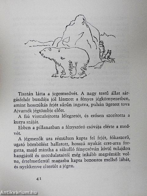 A jégvilág Robinsonja