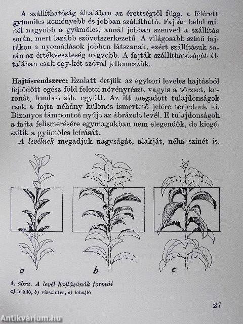 Gyümölcsfajták zsebkönyve