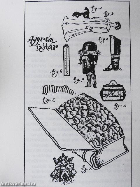 Válogatott agyrémeim