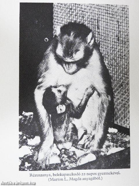 Az ember ősi ösztönei