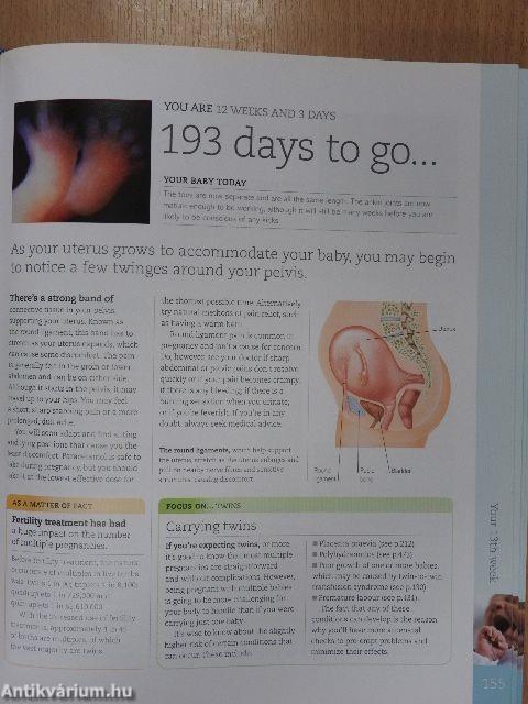 The Day-by-Day Pregnancy Book