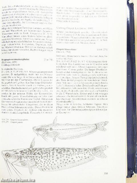 Süßwasserfische der Welt