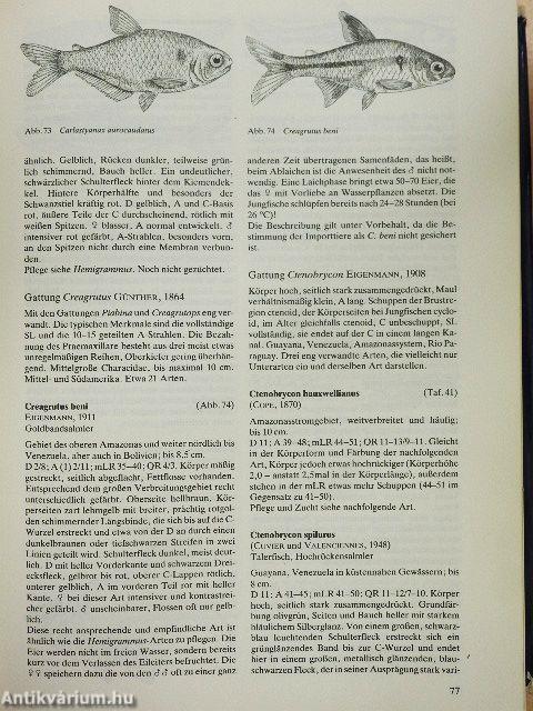 Süßwasserfische der Welt