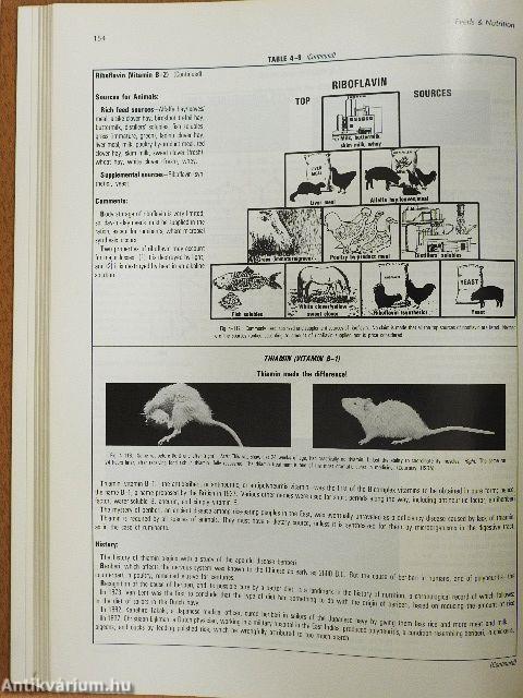 Feeds & Nutrition