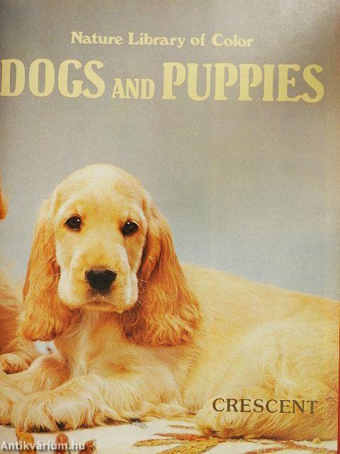 Dogs and Puppies