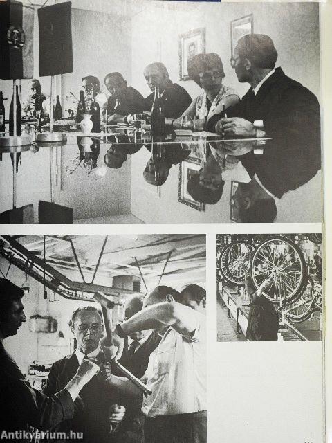 Bezirk Halle im 30. Jahr der Befreiung