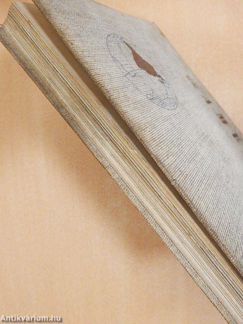 Közép- és Dél-Amerika