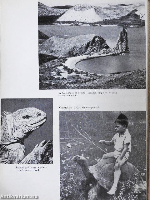 Közép- és Dél-Amerika