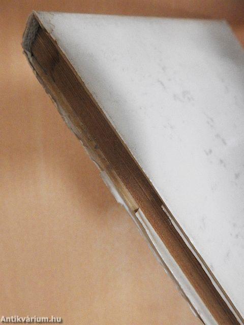 Horthy és hatalmi rendszere 1919-1922