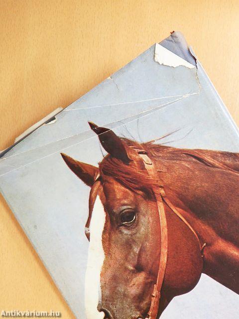 A magyar lóversenyzés története (1827-1977)