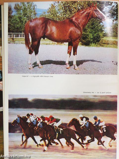 A magyar lóversenyzés története (1827-1977)