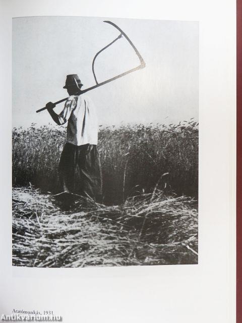 Egy évszázados ember