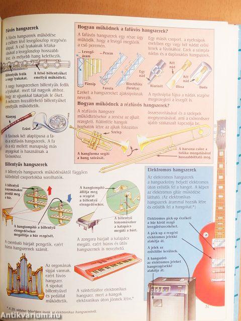 Bevezetés a zene világába