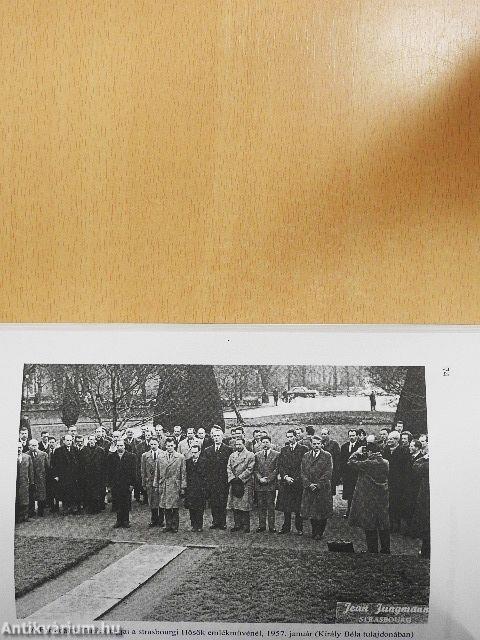 Iratok az emigrációról