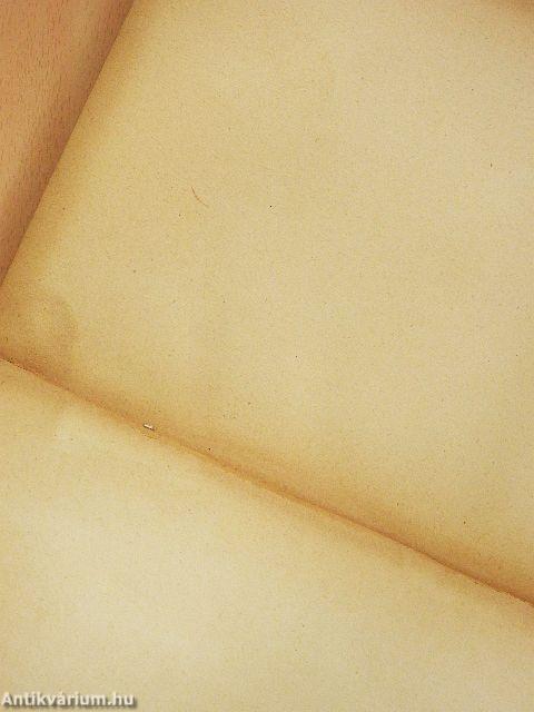 Az elektromosság diadalútja