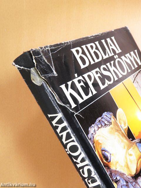 Bibliai képeskönyv