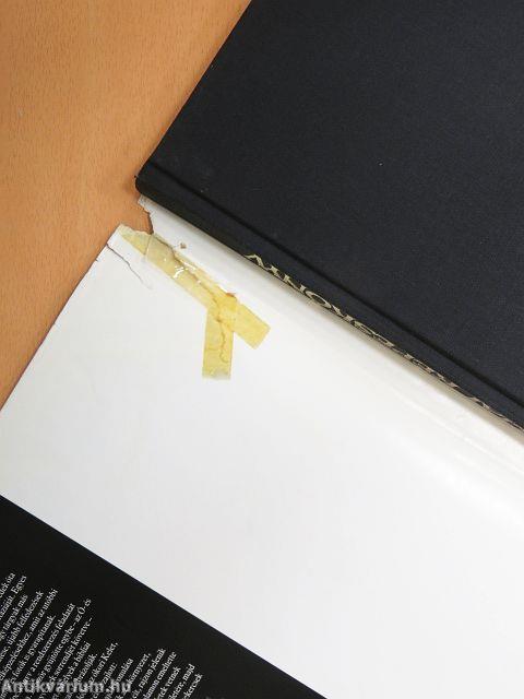 Bibliai képeskönyv