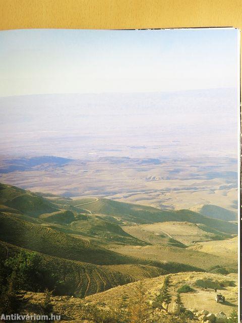 Bibliai képeskönyv