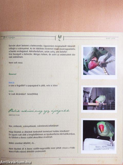 Lali király papagája voltam avagy Grün Blog