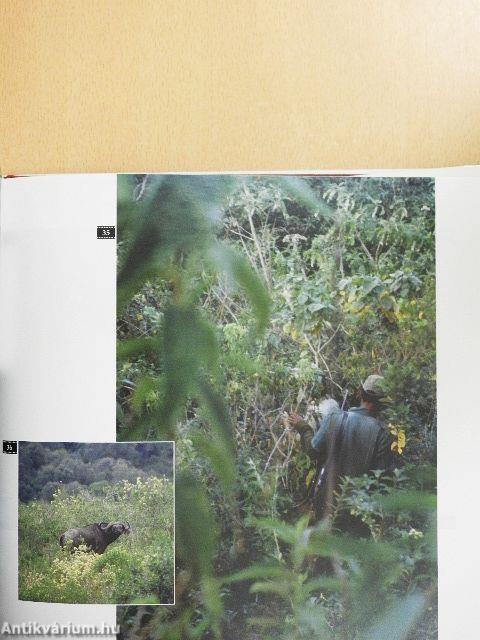 Telihold a Kilimandzsáró felett