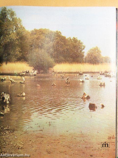 Nimród 1979. január-december