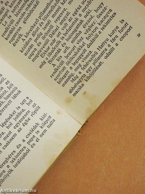 Hallatlan kiváncsiság