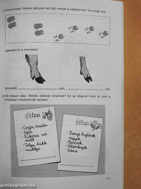 Természetismeret 5-6. - Munkafüzet