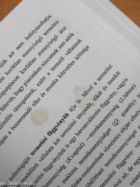 Bevezetés a munkaerőpiac mikrogazdaságtanába