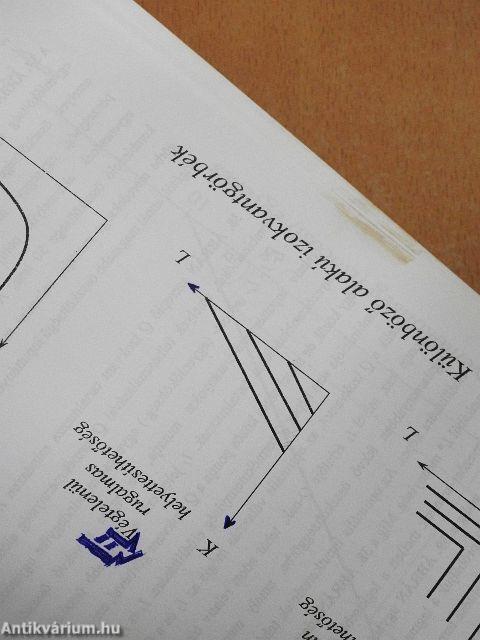 Bevezetés a munkaerőpiac mikrogazdaságtanába