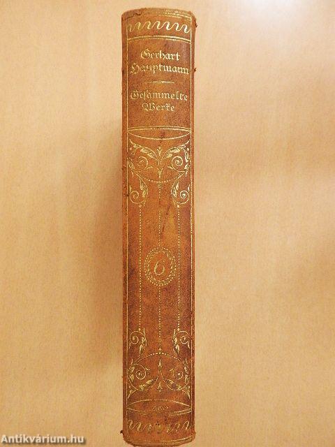 Gesammelte Werke VI. (gótbetűs)