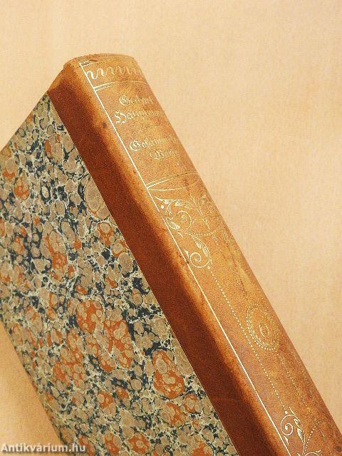 Gesammelte Werke VI. (gótbetűs)