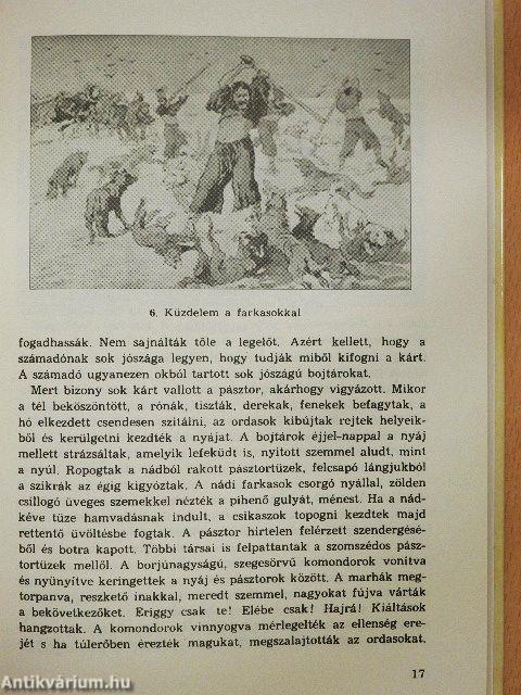 Nagykunsági krónika