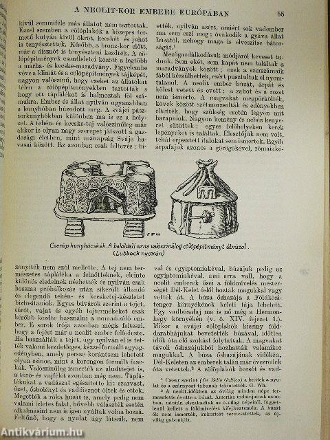 A világtörténet alapvonalai