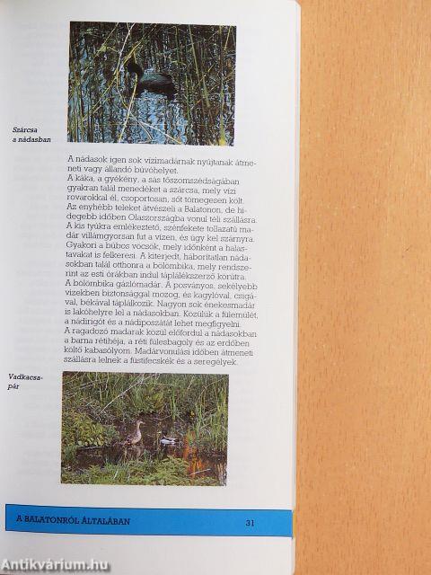 Balaton és a Balaton-felvidék