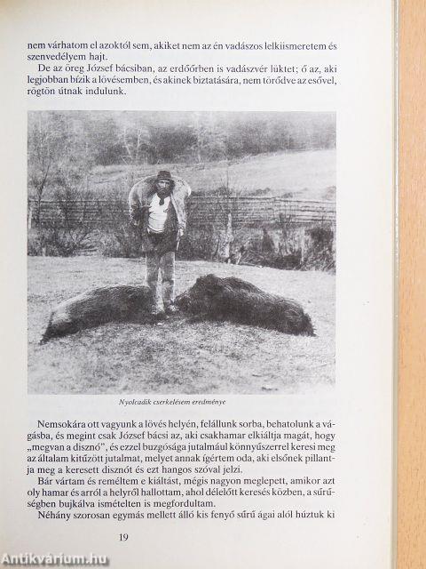 Cserkészeten és lesen Nagymagyarországon