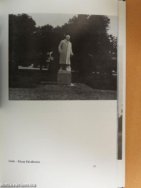 Kapuvári képeskönyv