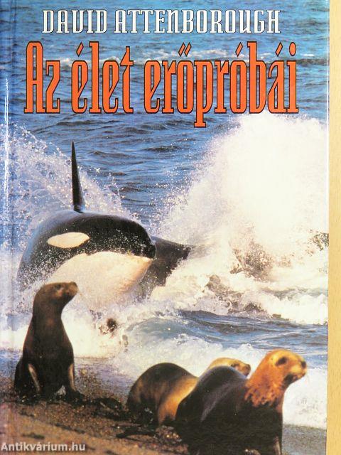 Az élet erőpróbái